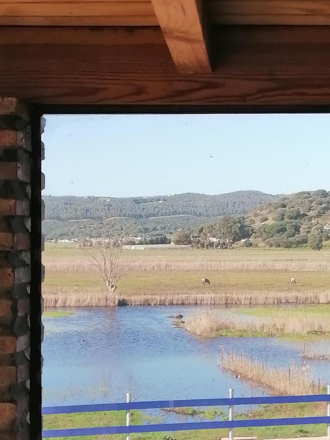 Casa Los Ibis Villa Vejer de la Frontera Exteriör bild